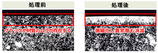 処理前後の顕微鏡による比較